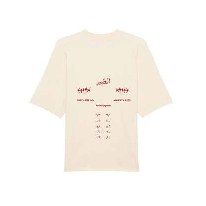 Sabr Petrol T-shirt